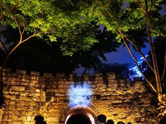 -重庆市江北嘴中央商务区中央公园