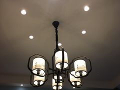 -关东大厨老三熏鹅(新石店)