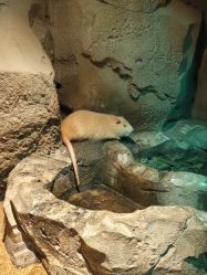 -酷嗒动物文化乐园(cutezoo西溪乐天城店)