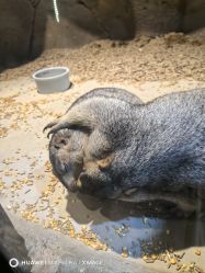 -酷嗒动物文化乐园(cutezoo西溪乐天城店)