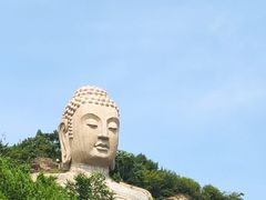 -蒙山大佛景区