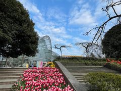 -南山植物园
