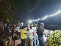 -南湖公园地摊集市
