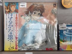 -浣熊唱片店(上海影城店)