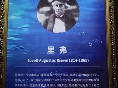 -贝壳王国博物馆