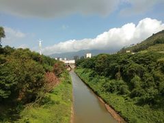 -羚羊峡古栈道森林公园