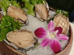 -烹然四季椰子鸡火锅(姚家园万象汇店)