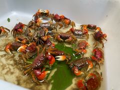 -循礼门鲜花花市(武汉循礼门店)