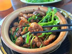 -华仔土鸡店(南洲分店)