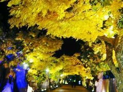 android_upload_pic-横店影视城梦幻谷园区