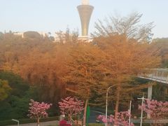 -狐尾山公园