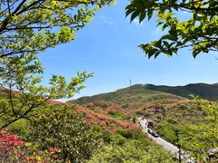 -大围山国家森林公园
