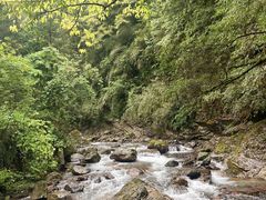 -西岭雪山大飞水景区