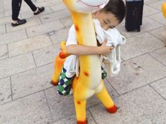 -西霞口神雕山野生动物世界