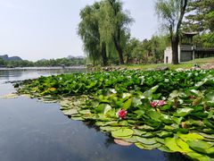 -承德避暑山庄景区