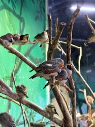 -Zoolung Zoolung动物主题公园(海信广场店)