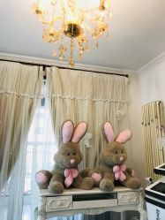 -美肤盾祛痘·问题肌头疗管理中心