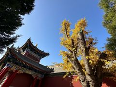 -西安市广仁寺