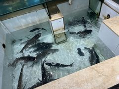 -小乡小镇·传承桐庐土菜·老板亲自烧的菜
