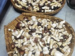 -野菌王牦牛肉汤锅