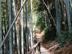 -五泄景区