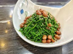 -靖远尕六美味羊羔肉