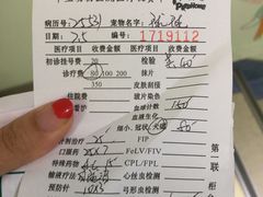 -瑞派申生动物医院·24H夜诊·国际动物医疗中心·骨外科(吴中路店)