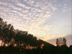 -东郊湿地公园