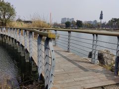 -桂溪生态公园