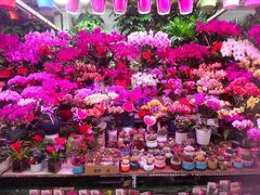 -三旗百汇商品城