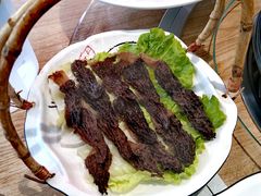 -喜上喜鸡煲翅(吉大店)