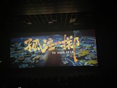 -中影佰纳国际影城DMAX(花都广百广场店)