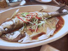 清蒸白水鱼-状元楼(金溪路店)