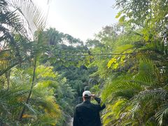 -广西壮族自治区药用植物园