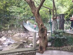 -宁波五龙潭景区