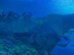-珠海长隆海洋王国