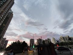 -眉州东坡(民族园店)