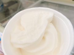 -洪馨椰子
