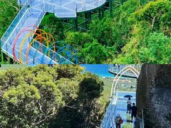 -亚龙湾国际玫瑰谷