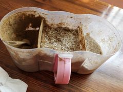 -阿麟馄饨(延长路店)