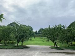 -南山植物园