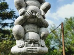 -武陵山森林公园