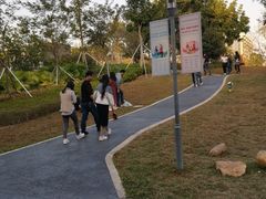 -宝安西湾红树林湿地公园