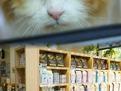 -美联众合动物医院·24h转诊中心