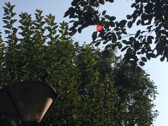 -北京外国语大学东院食堂