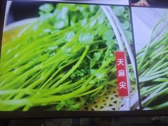 -龙翔山庄雷鸡肉(青城后山泰安古镇店)