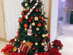 -上海浦东假日酒店逸庭咖啡厅