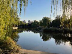 -南翠屏公园