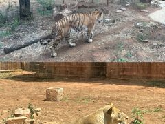 -昆明动物园