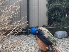 -维乐口腔医院(福清院)